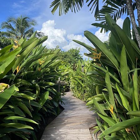 Eden Paradise Ecolodge & Spa Sainte-Luce Exteriör bild