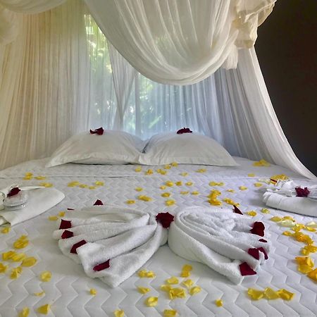 Eden Paradise Ecolodge & Spa Sainte-Luce Rum bild