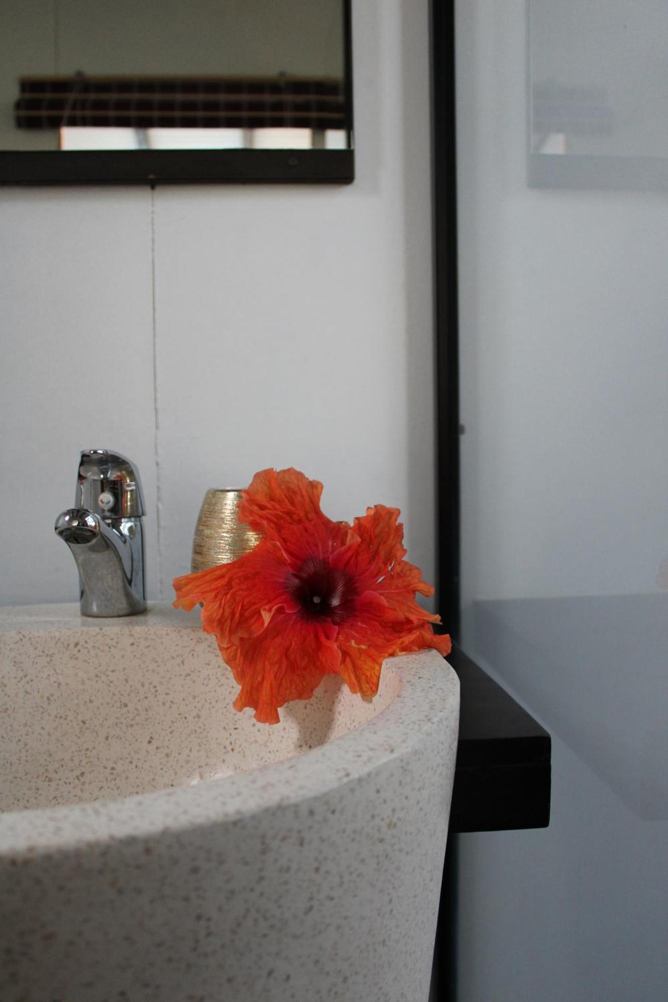 Eden Paradise Ecolodge & Spa Sainte-Luce Rum bild