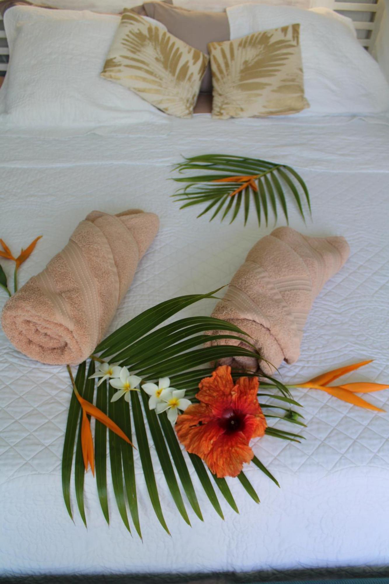 Eden Paradise Ecolodge & Spa Sainte-Luce Rum bild